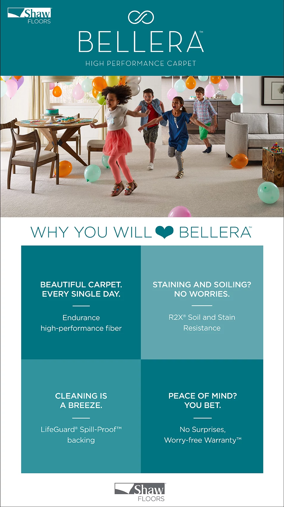 Why you will love bellera carpet graphic